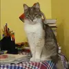 Отзыв от Инна Харитонова